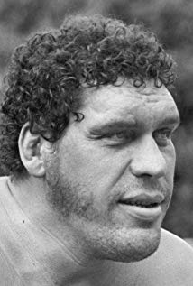 How tall is Andre The Giant?